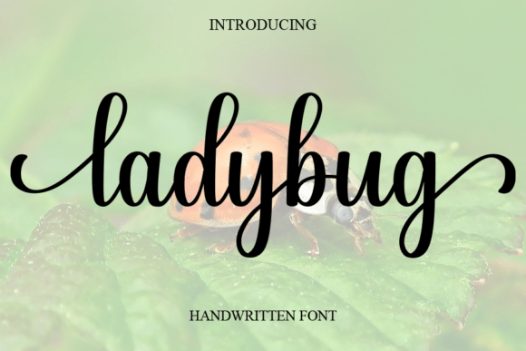 Download Ladybug - Ladybug Collection